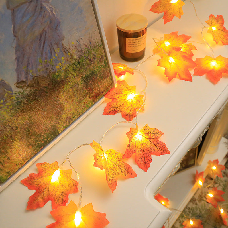 Fairy Lights - Autumn Decoration Lights | 50% OFF 1