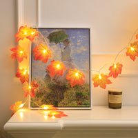 Fairy Lights - Autumn Decoration Lights | 50% OFF 2