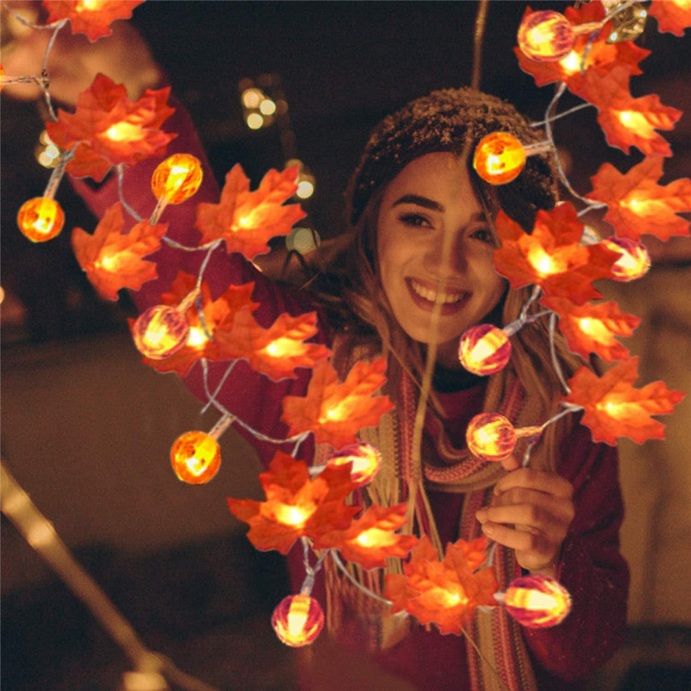 Fairy Lights - Autumn Decoration Lights | 50% OFF 4