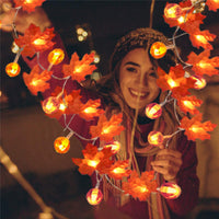 Fairy Lights - Autumn Decoration Lights | 50% OFF 4