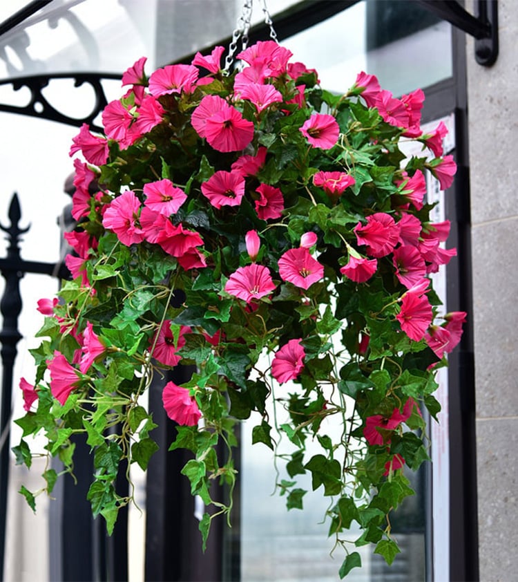 Glory Blossom™ Everlasting Natural Beauty 0