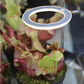 GrowGlow™ Mimics natural sunlight 0