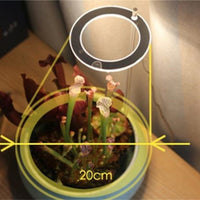 GrowGlow™ Mimics natural sunlight 4