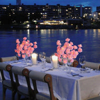 PetalGlow™ Creates a cozy ambience 0