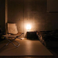 RadiantHemp™ - Hemp fiber lamp 5