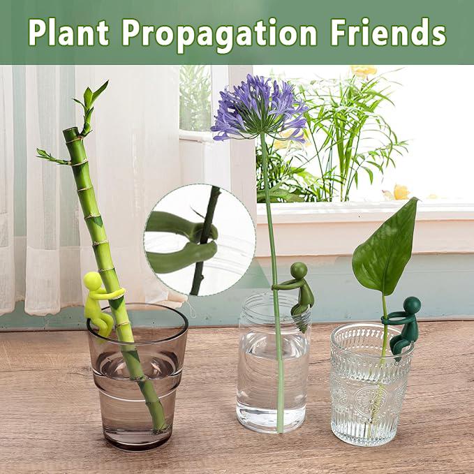 3+3 Free | FlowerBracelet™ Supports plant growth 0