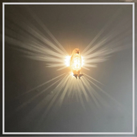Animal Night Light™ Awakens a child's imagination in your home 3