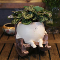 BlissBloom™ - Smily Face Planter 2
