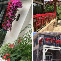 BloomingDecor™ Long-lasting beauty 2