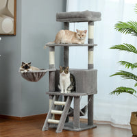 Kattenboom, Hoge Kattentoren, Grote Kattenappartement