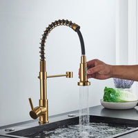 Kitchen Faucet, Pull Down Design, 360 Degree Rotation