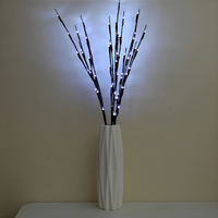 NatureGlow™ - Brings a touch of warmth to your living space 1