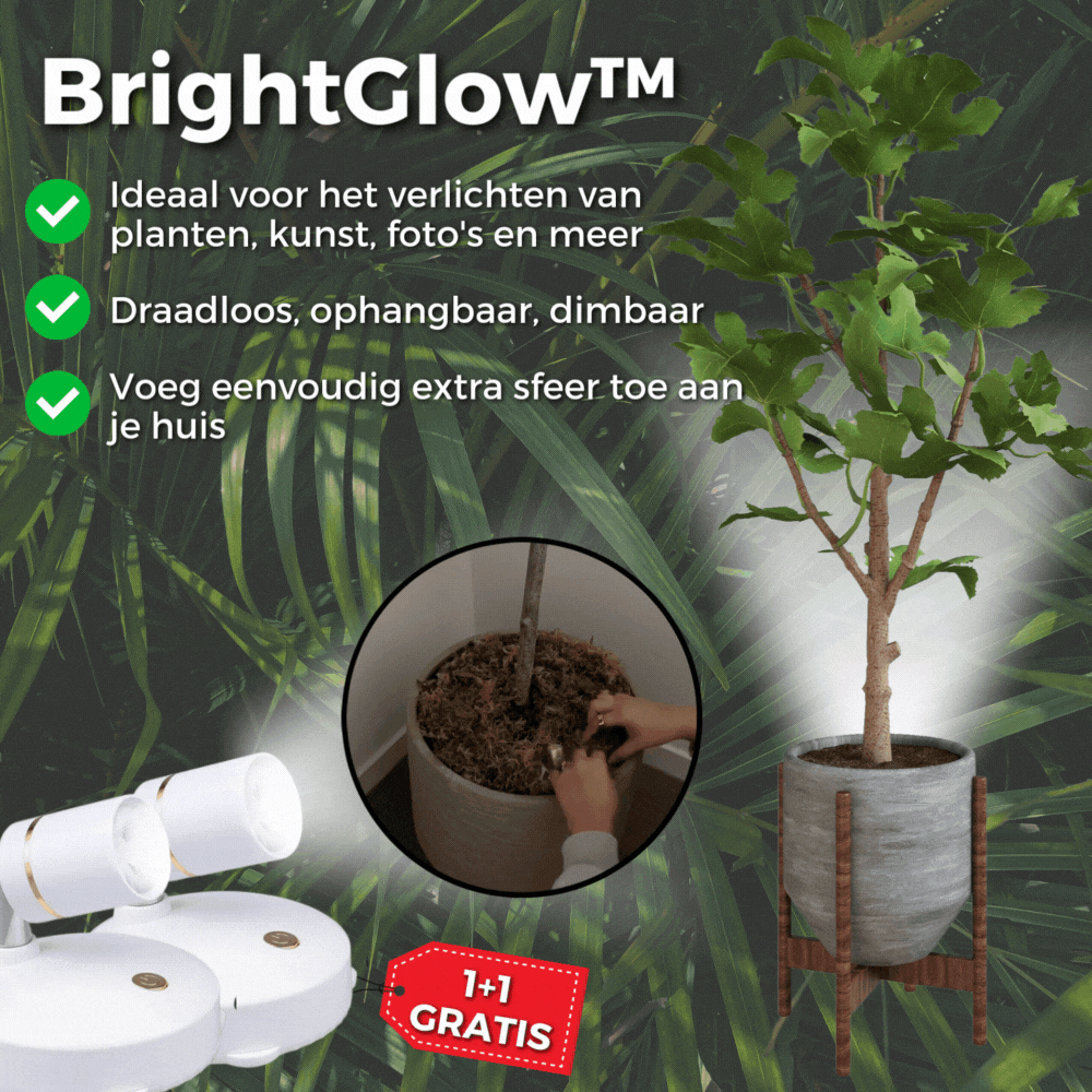 ShiningBeam™️ Smart Lighting Solutions (1+1 Free) 0