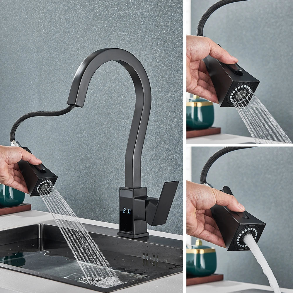 Kitchen Faucet, Pull Out Sprayer, Dual Water Mode